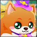 My Cute Pom Puppy