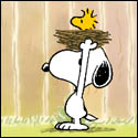 Whats Up Snoopy